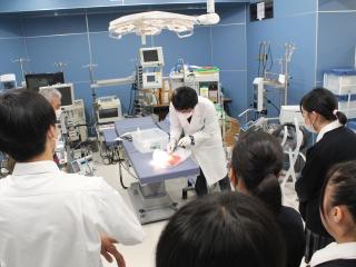 つくば国際大学