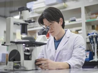 注目のカリキュラム