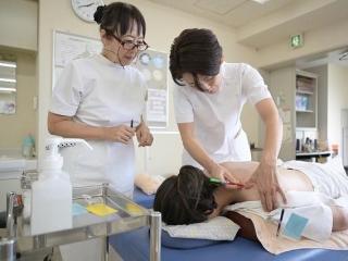 注目のカリキュラム