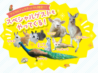 アニマルフェスティバル2026の画像