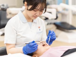 歯科衛生学科学部・学科・コース情報