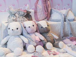 注目のカリキュラム