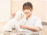 カコトリミングスクール