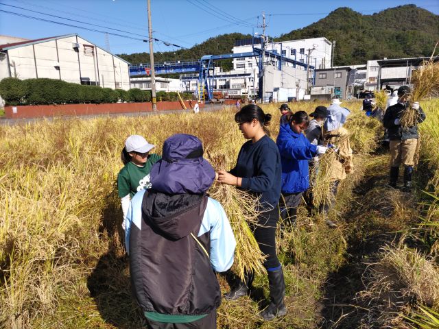 文化創造学部 文化創造学科 初等教育学専攻 学校教育専修 個別最適な学びと協働的な学びへの実践力をもった教員をめざす