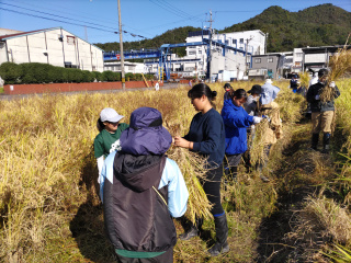 学部・学科・コース情報