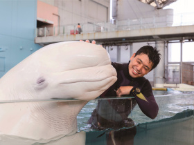 めざせ！ドルフィントレーナー