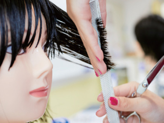 注目のカリキュラム