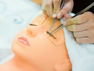 注目のカリキュラム