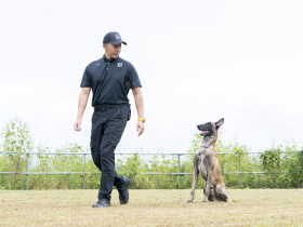 警察犬訓練士から学ぶドッグトレーニング