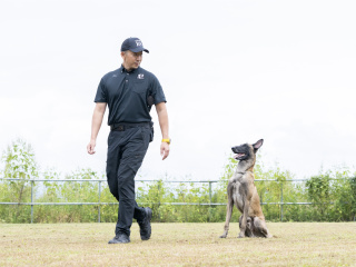 警察犬訓練士から学ぶドッグトレーニングの画像