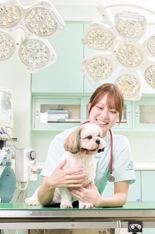 愛玩動物看護科 動物病院で信頼される「愛玩動物看護師」を育成します！