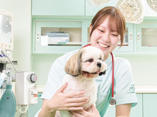 愛玩動物看護科 動物病院で信頼される「愛玩動物看護師」を育成します！