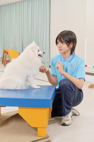 動物共生研究科 動物との共生社会を支えるアドバイザーを育成