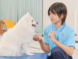 動物共生研究科学部・学科・コース情報