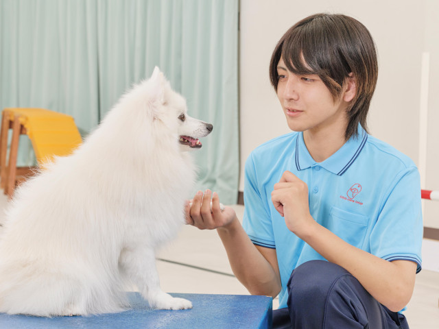 動物共生研究科 動物との共生社会を支えるアドバイザーを育成