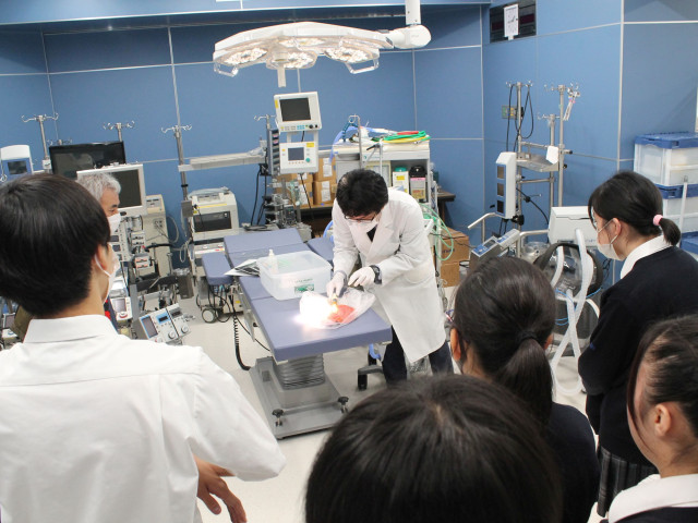 医療保健学部 医療技術学科 最新の医療機器の操作と管理で「命」と高度医療 支える臨床工学のスペシャリストへ