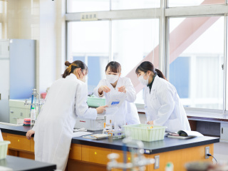 注目のカリキュラム