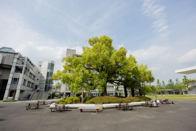 京都文教大学