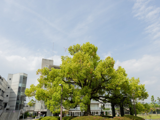 京都文教大学