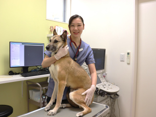 就職サポート1の写真