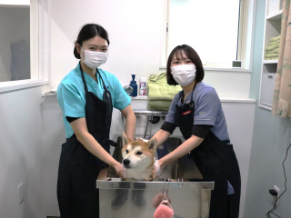 就職サポート2の写真