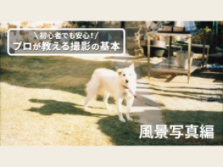 プロが教える撮影の基本～日常を切り取る、風景写真編～の画像