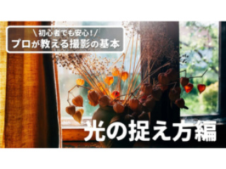 初心者でも安心！プロが教える撮影の基本〜表現の幅が広がる、光の捉え方編〜の画像