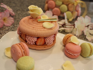 オープンキャンパスの画像