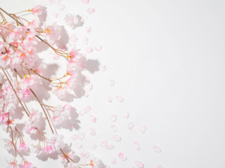  専門学校 東京テクニカルカレッジからのニュース画像[12751]