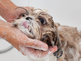４月５日（日）プロが仕上げる！シャンプー＆ドライ編の画像