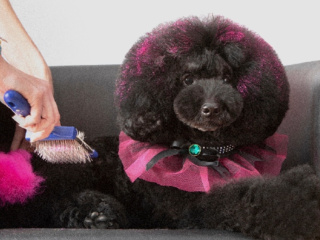 ４月26日（日）デザインカットにチャレンジの画像