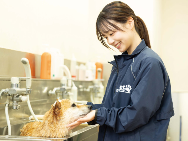 ペットビジネス学科 年間15,000頭のペットが来校！現場に近い学び！