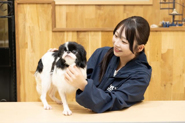 ペットビジネス学科 トリマー&トレーナーコース トリマーもトレーニングも！両方学んで、ペット業界のプロへ！