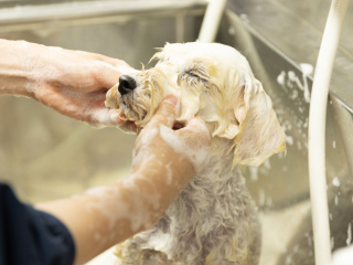 注目のカリキュラム