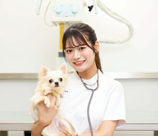 愛玩動物看護学科 動物と人に寄り添える愛玩動物看護師へ！