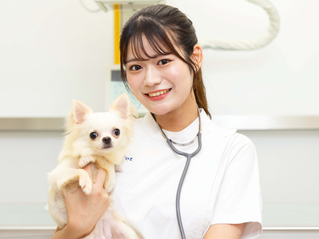 愛玩動物看護学科 動物と人に寄り添える愛玩動物看護師へ！