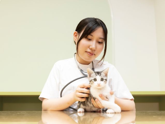 愛玩動物看護学科 動物看護コース 現場で役立つ力が、自然と身につく実習環境！