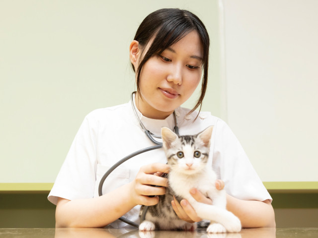 愛玩動物看護学科 動物看護コース 現場で役立つ力が、自然と身につく実習環境！