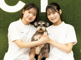 注目のカリキュラム