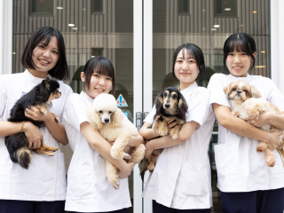 注目のカリキュラム