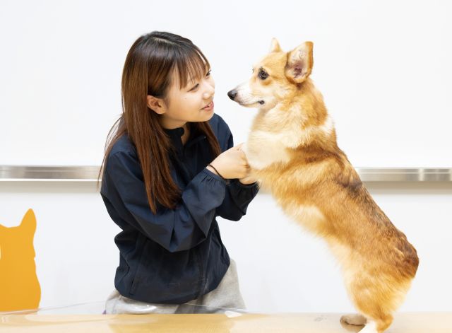 愛玩動物看護学科 トレーナー＆動物看護コース 訓練士×看護の知識でペット業界をマルチに支える！
