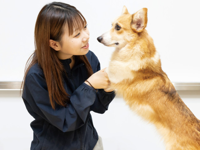 愛玩動物看護学科 トレーナー＆動物看護コース 訓練士×看護の知識でペット業界をマルチに支える！