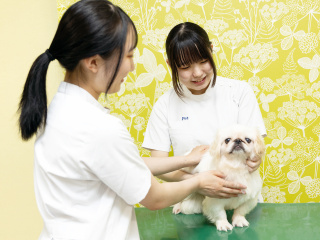 注目のカリキュラム