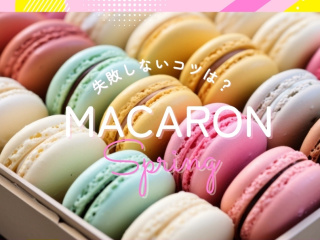 3.20(金)個別相談会（【マカロン】デモンストレーション見学あり）の画像