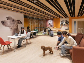 キャンパスまるごと動物看護