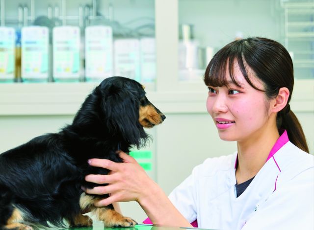 愛玩動物看護学科 愛玩動物看護師資格を取得し、「診療の補助」「動物の看護」「愛護および適性飼養」と価値ある業務を担う専門職へ！