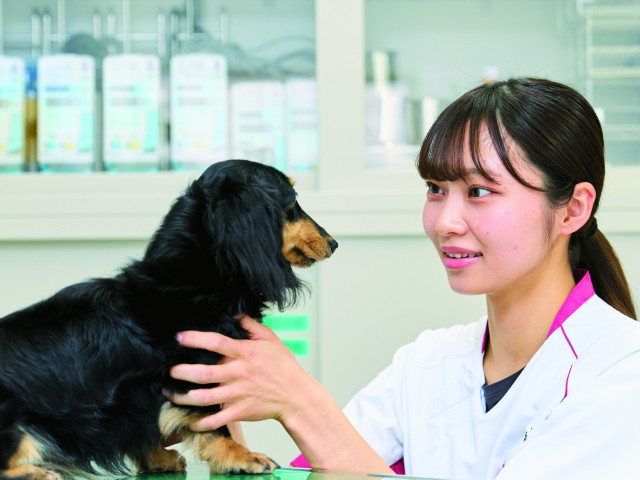 愛玩動物看護学科 愛玩動物看護師資格を取得し、「診療の補助」「動物の看護」「愛護および適性飼養」と価値ある業務を担う専門職へ！