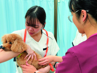 注目のカリキュラム