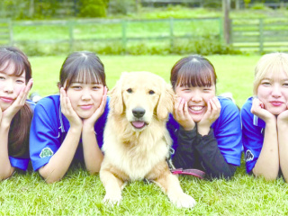 注目のカリキュラム