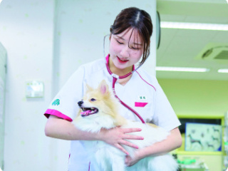 [愛玩動物看護学科]学校説明会（選んだ学科を体験できる日）の画像